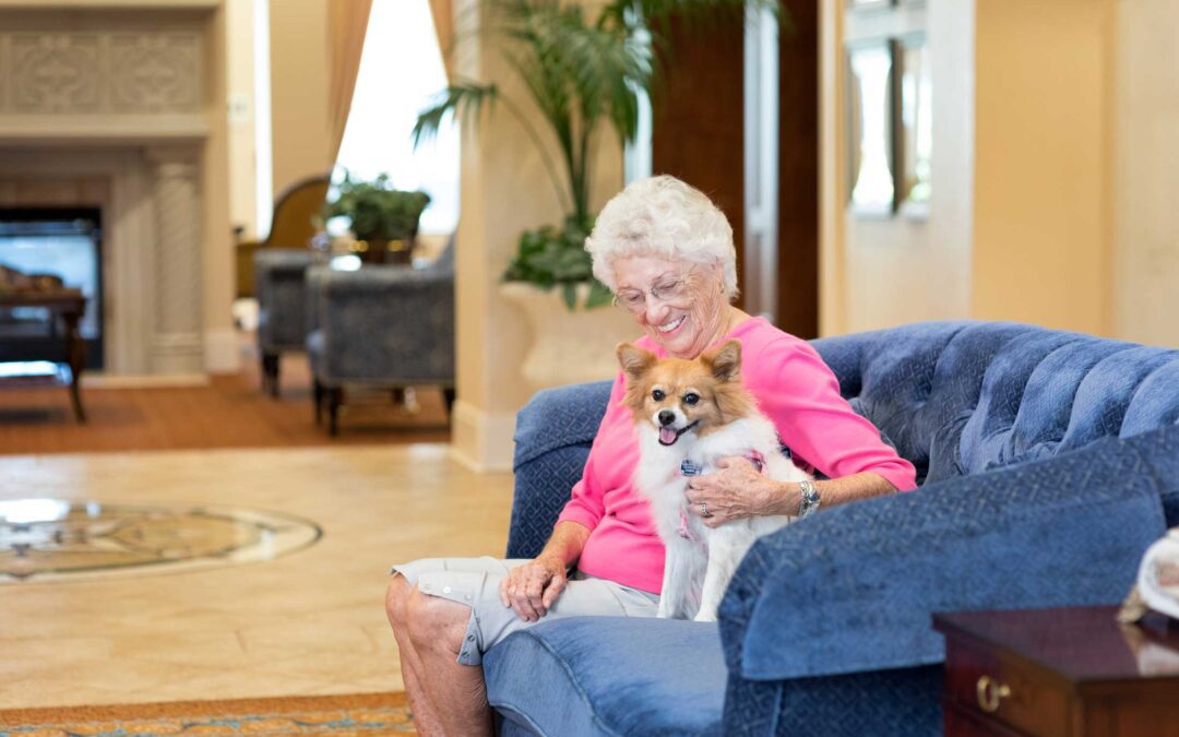 The Healing Power of Paws: Unleashing the Benefits of Pets for Seniors