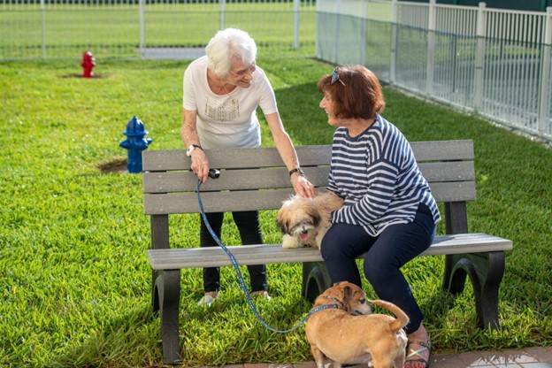 senior women introducing their dogs at a dog park