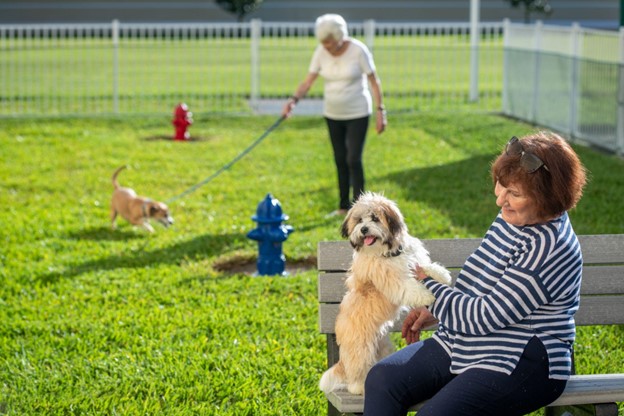 senior woman at a dog park sitting on a bench with her dog