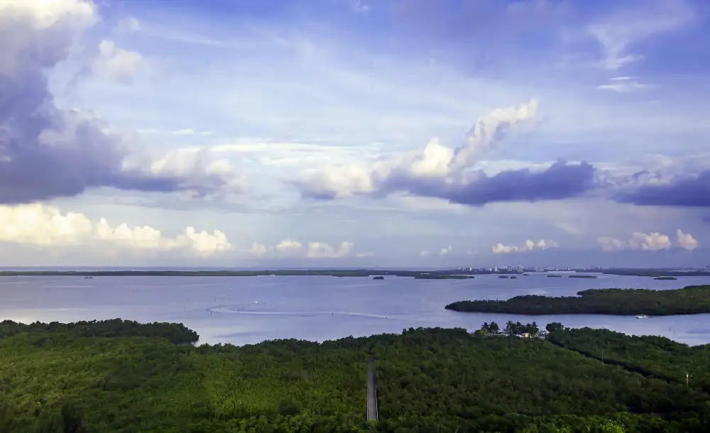 Birds eye view of a bay in Florida